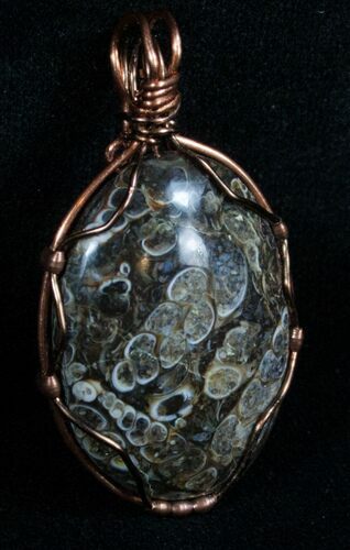 Copper Wire Wrapped Turritella Pendant #5954